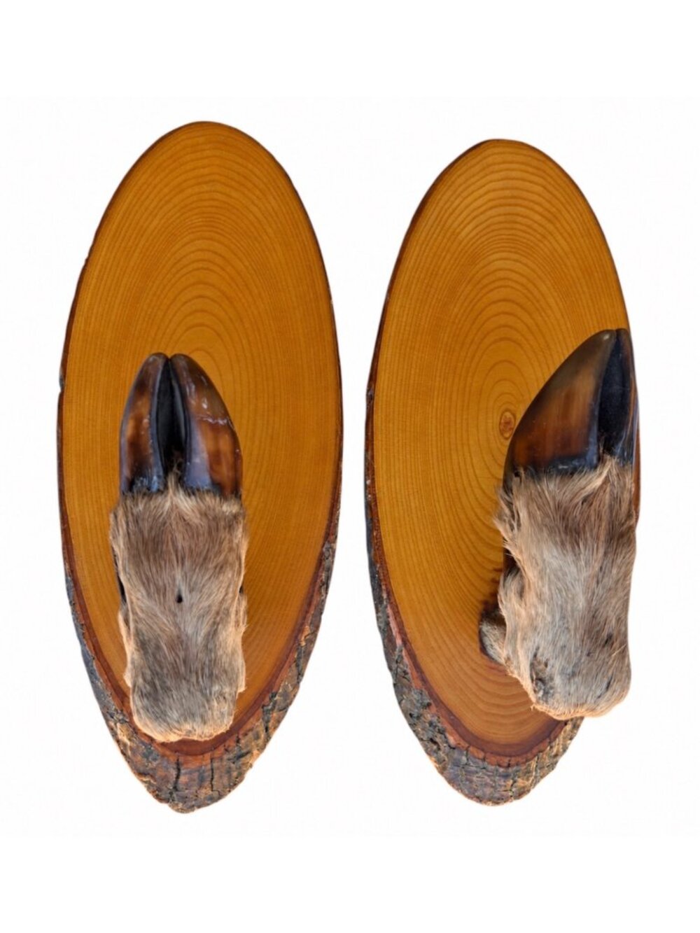 VTG Deer Hoof Rifle Gun Bow Hat Rack Solid Wood Oval Mount Real Feet Taxidermy